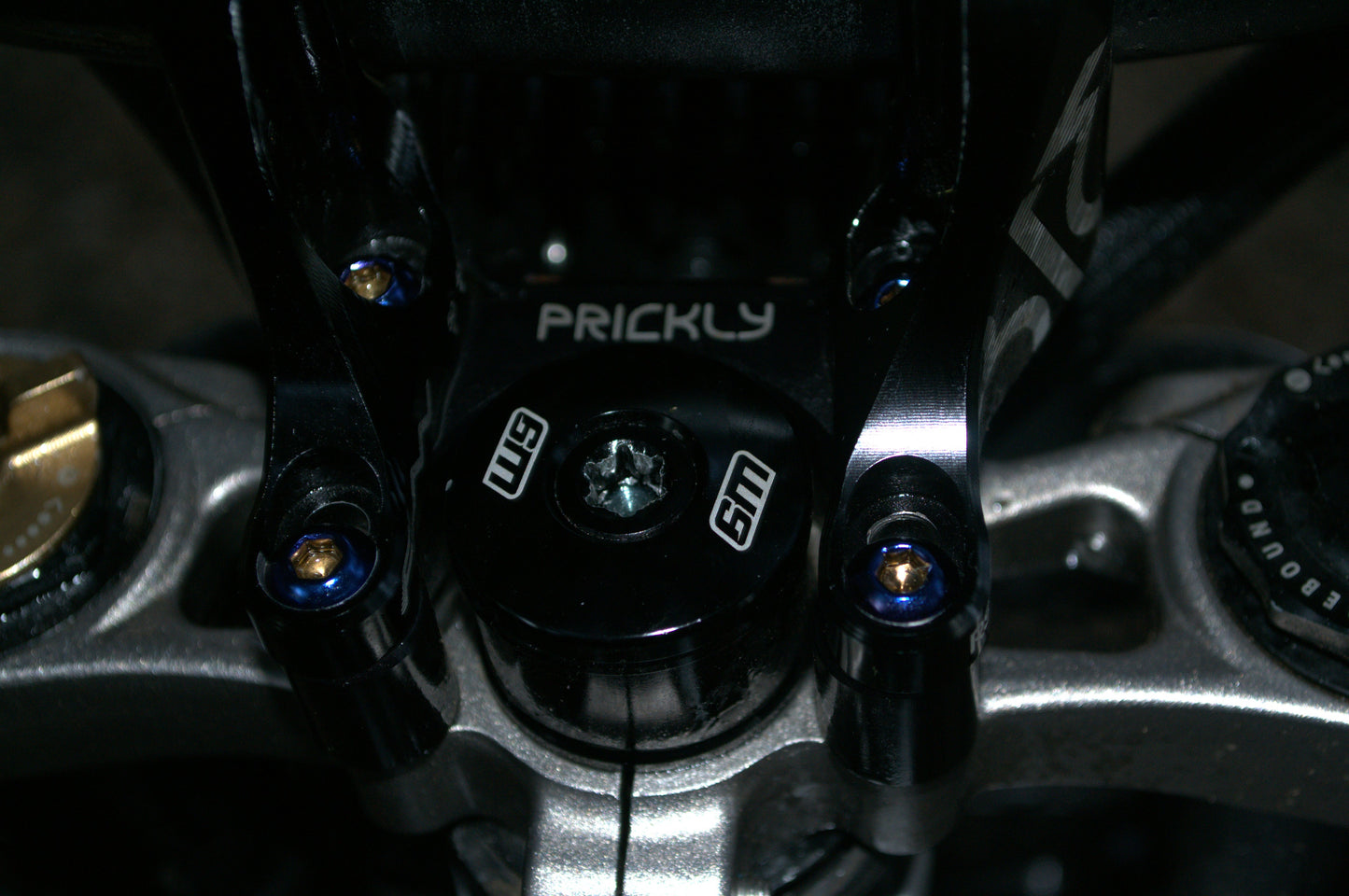 Direct Mount Ti Bolts (ONLY FOR PRICKLY RISER)