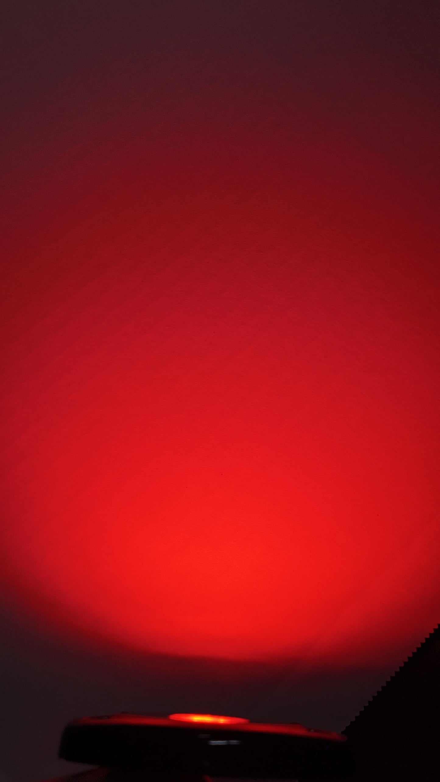 Hyperglow- Surron Light Bee Front Only