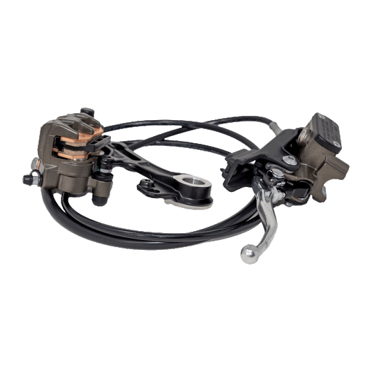 Surron Ultra Bee Rear Brake Assembly
