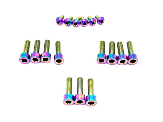 Titanium Bolt Kit for Sirris F43 Fork (21 Pieces)